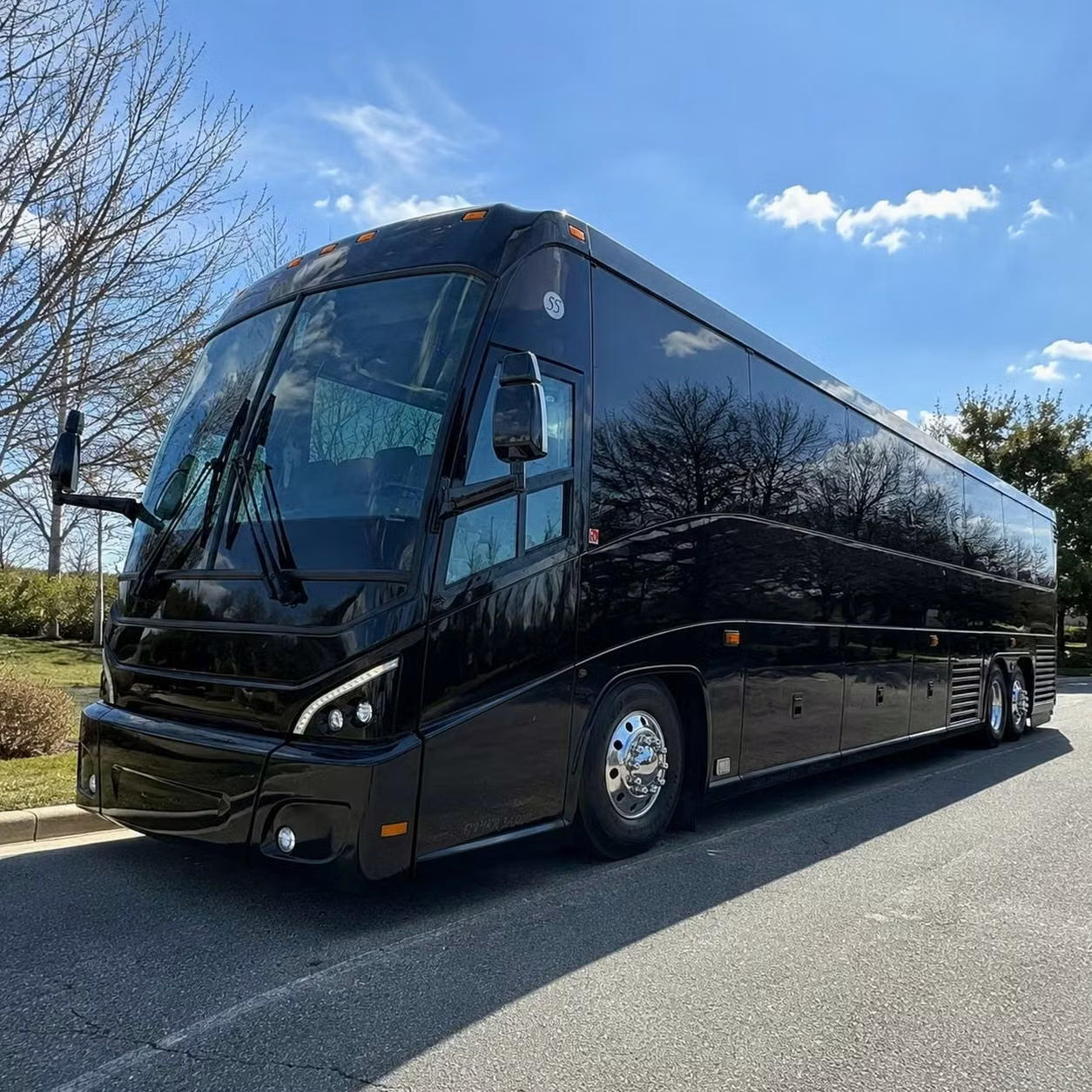hinesville day trips from hinesville to congaree national park